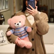 Teddy Bear Plush Toy - Sweater-Wearing Bear Doll, Perfect Claw Machine Prize & Birthday Gift for Girlfriends - Image 2